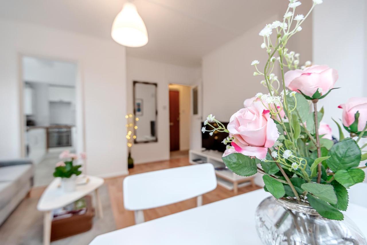 Modern One Bedroom Victoria Apartment 伦敦 外观 照片